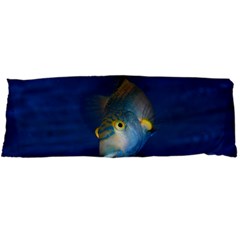 Fish Blue Animal Water Nature Body Pillow Case Dakimakura (two Sides) by Amaryn4rt