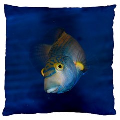 Fish Blue Animal Water Nature Large Cushion Case (two Sides) by Amaryn4rt