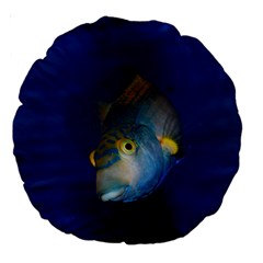 Fish Blue Animal Water Nature Large 18  Premium Round Cushions by Amaryn4rt