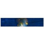 Fish Blue Animal Water Nature Small Premium Plush Fleece Scarf Front