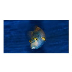 Fish Blue Animal Water Nature Satin Shawl 45  X 80  by Amaryn4rt