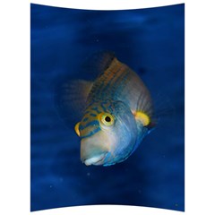 Fish Blue Animal Water Nature Back Support Cushion by Amaryn4rt