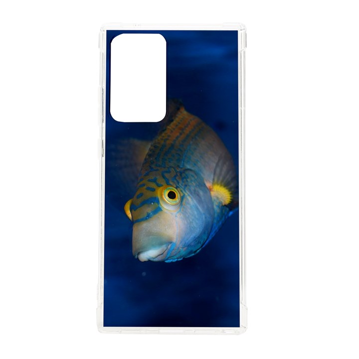 Fish Blue Animal Water Nature Samsung Galaxy Note 20 Ultra TPU UV Case