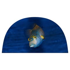 Fish Blue Animal Water Nature Anti Scalding Pot Cap by Amaryn4rt