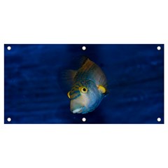 Fish Blue Animal Water Nature Banner And Sign 4  X 2  by Amaryn4rt