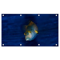 Fish Blue Animal Water Nature Banner And Sign 7  X 4  by Amaryn4rt