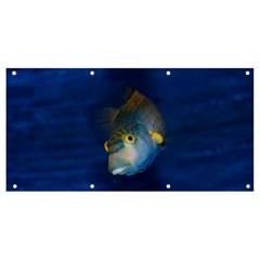 Fish Blue Animal Water Nature Banner And Sign 8  X 4  by Amaryn4rt