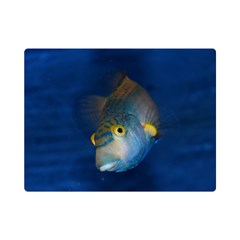 Fish Blue Animal Water Nature Premium Plush Fleece Blanket (mini) by Amaryn4rt