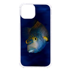 Fish Blue Animal Water Nature Iphone 13 Tpu Uv Print Case by Amaryn4rt