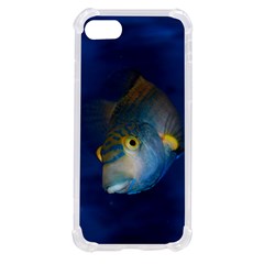 Fish Blue Animal Water Nature Iphone Se by Amaryn4rt