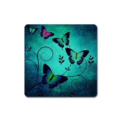 Texture Butterflies Background Square Magnet by Amaryn4rt