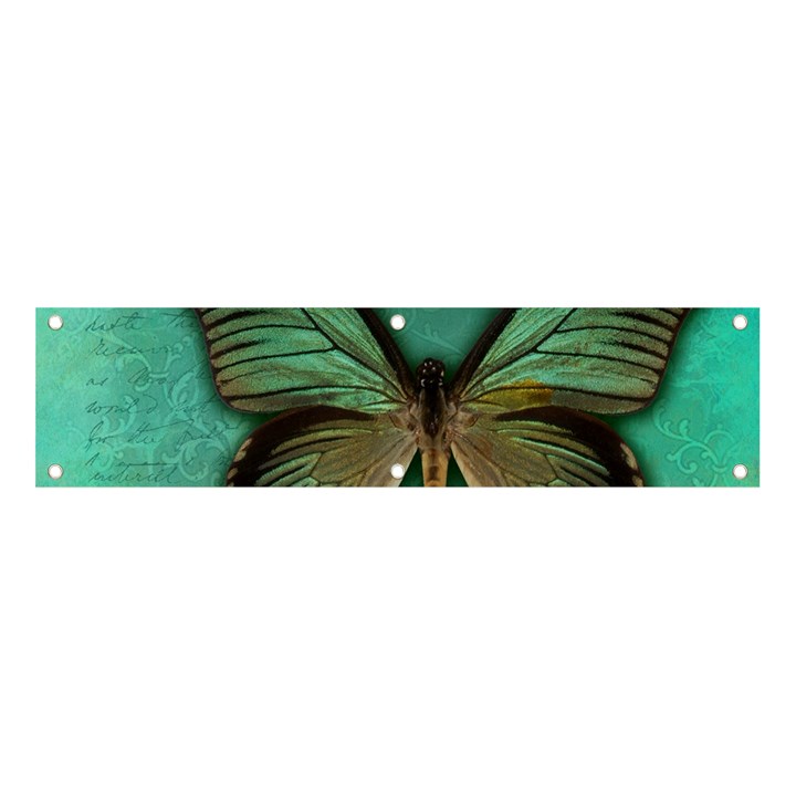 Butterfly Background Vintage Old Grunge Banner and Sign 4  x 1 