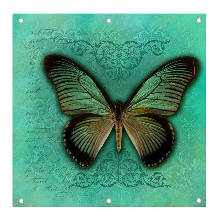 Butterfly Background Vintage Old Grunge Banner and Sign 4  x 4 