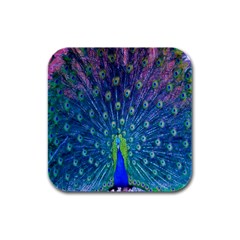 Amazing Peacock Rubber Square Coaster (4 Pack) by Simbadda