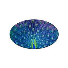 Amazing Peacock Sticker Oval (10 Pack) by Simbadda