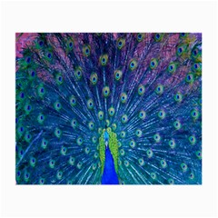 Amazing Peacock Small Glasses Cloth by Simbadda