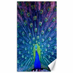 Amazing Peacock Canvas 40  X 72 