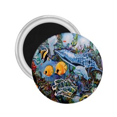 Colorful Aquatic Life Wall Mural 2 25  Magnets by Simbadda