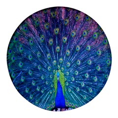 Amazing Peacock Round Glass Fridge Magnet (4 Pack)