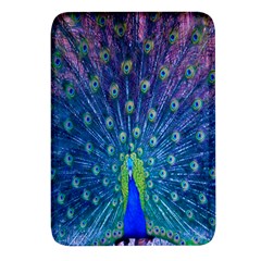 Amazing Peacock Rectangular Glass Fridge Magnet (4 Pack)