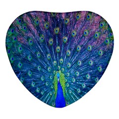 Amazing Peacock Heart Glass Fridge Magnet (4 Pack)