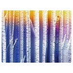 Birch Tree Background Scrapbooking Premium Plush Fleece Blanket (Extra Small) 40 x30  Blanket Front