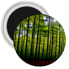 Green Forest Jungle Trees Nature Sunny 3  Magnets by Ravend