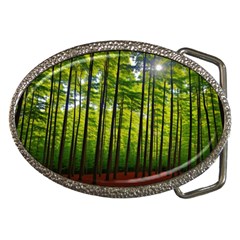 Green Forest Jungle Trees Nature Sunny Belt Buckles by Ravend