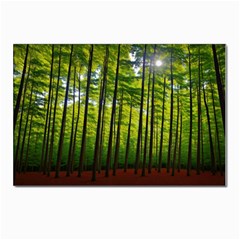 Green Forest Jungle Trees Nature Sunny Postcard 4 x 6  (pkg Of 10) by Ravend