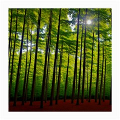 Green Forest Jungle Trees Nature Sunny Medium Glasses Cloth (2 Sides) by Ravend