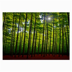 Green Forest Jungle Trees Nature Sunny Large Glasses Cloth by Ravend