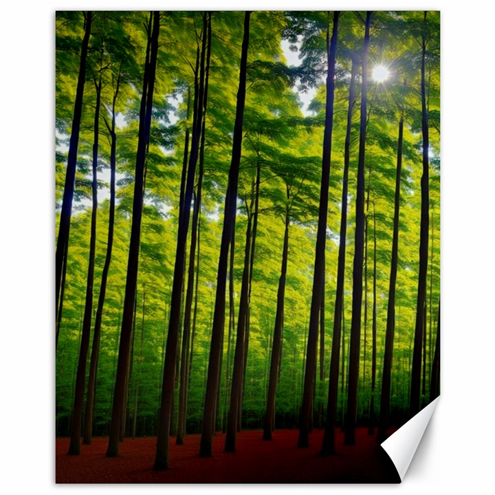 Green Forest Jungle Trees Nature Sunny Canvas 11  x 14 