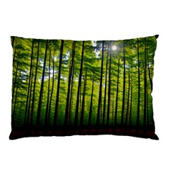 Green Forest Jungle Trees Nature Sunny Pillow Case (two Sides) by Ravend