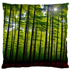 Green Forest Jungle Trees Nature Sunny Large Cushion Case (two Sides) by Ravend