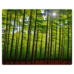 Green Forest Jungle Trees Nature Sunny Two Sides Premium Plush Fleece Blanket (medium) by Ravend