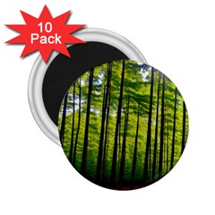 Green Forest Jungle Trees Nature Sunny 2 25  Magnets (10 Pack)  by Ravend