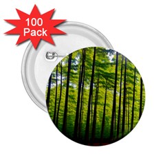 Green Forest Jungle Trees Nature Sunny 2 25  Buttons (100 Pack)  by Ravend