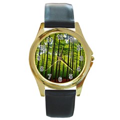 Green Forest Jungle Trees Nature Sunny Round Gold Metal Watch