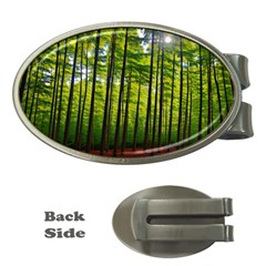 Green Forest Jungle Trees Nature Sunny Money Clips (oval)  by Ravend