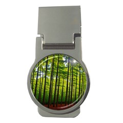 Green Forest Jungle Trees Nature Sunny Money Clips (round)  by Ravend