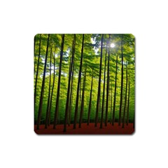 Green Forest Jungle Trees Nature Sunny Square Magnet by Ravend