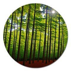 Green Forest Jungle Trees Nature Sunny Magnet 5  (round) by Ravend