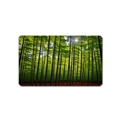 Green Forest Jungle Trees Nature Sunny Magnet (name Card) by Ravend