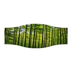 Green Forest Jungle Trees Nature Sunny Stretchable Headband by Ravend