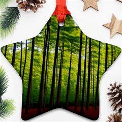 Green Forest Jungle Trees Nature Sunny Star Ornament (two Sides) by Ravend