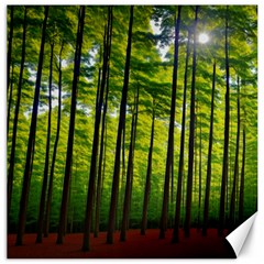 Green Forest Jungle Trees Nature Sunny Canvas 16  X 16  by Ravend