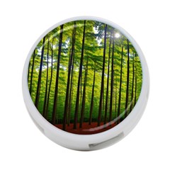 Green Forest Jungle Trees Nature Sunny 4-port Usb Hub (two Sides) by Ravend