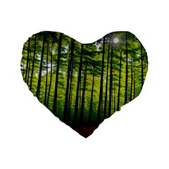 Green Forest Jungle Trees Nature Sunny Standard 16  Premium Flano Heart Shape Cushions by Ravend