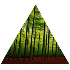 Green Forest Jungle Trees Nature Sunny Wooden Puzzle Triangle by Ravend