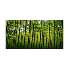 Green Forest Jungle Trees Nature Sunny Yoga Headband by Ravend